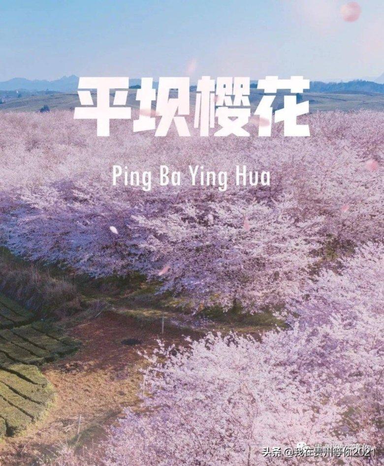 深海鱼救援