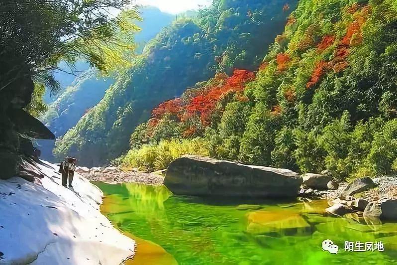 逗小猴开心系列205