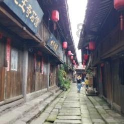这5种猫性格超好,怎么撸都不会生气,撸猫一族的必备